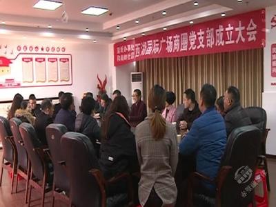 西湖国际商圈党支部正式挂牌