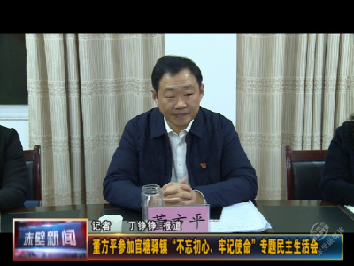 董方平参加官塘驿镇“不忘初心、牢记使命”专题民主生活会