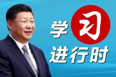 【四中全会学习进行时】重要时刻，习近平主持会议研究了两件大事