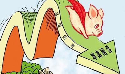 生猪产能连续6周回升，“两节”期间供应基本有保障 湖北猪肉价格连续4周下降
