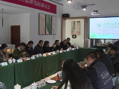 赤壁市举行“赤壁青砖茶”公共品牌发展研讨会