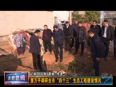 董方平调研全市“四个三”生态工程建设情况