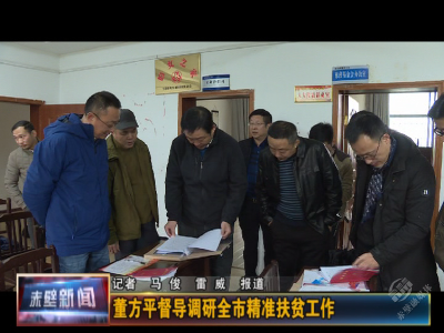 董方平督导调研全市精准扶贫工作