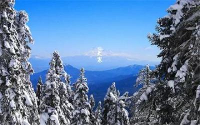 “风雅二十四节气”之大寒