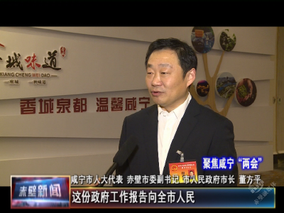 【聚焦咸宁“两会”】人大代表热议咸宁市政府工作报告
