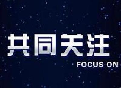 【权威发布】