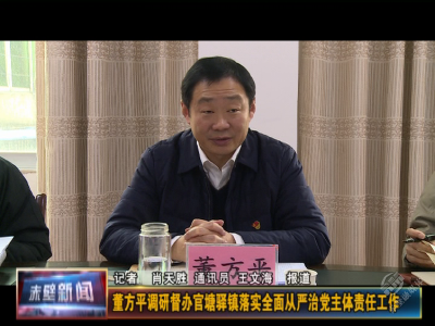 董方平调研督办官塘驿镇落实全面从严治党主体责任工作