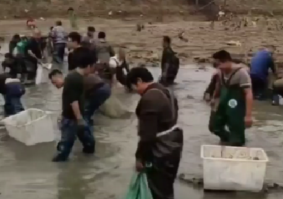 【抖音】沧湖摸鱼大赛