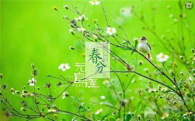 “风雅二十四节气”之春风