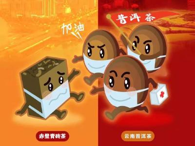 【一线写实】云南包赤壁，普洱兑青砖，合成一支强心剂！