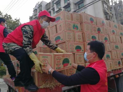 【一线写实】云南支援医疗队伍又支援西瓜 赞！赤壁“搬运工”撸起袖子运物资 不累！