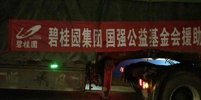 【一线写实】碧桂园集团、广东省国强公益基金会向赤壁市捐赠5吨医用消毒液