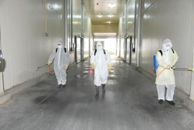 【一线写实】市城管执法局：精准高效做好疫情防控消杀工作