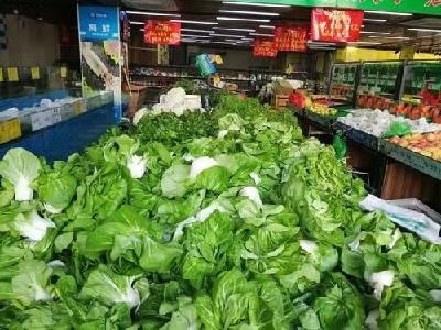 湖北受强寒潮影响大幅度降温 蔬菜如何稳产保供？
