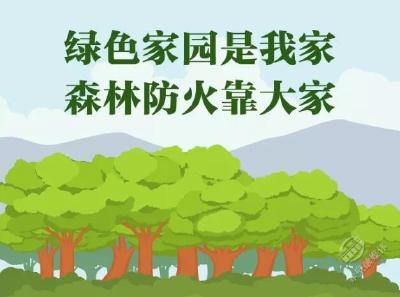 【温馨提示】护林防火人人有责，这些知识点赶紧get起来！