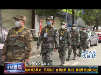 陆水湖办事处：民兵助力 全面控防 坚决打赢疫情防控阻击战