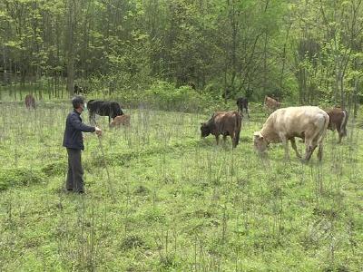 邹文志：脱贫没有巧 敢想敢做是法宝