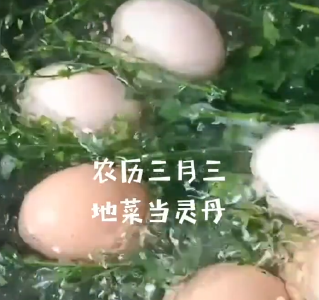 【抖音】农历三月三 地菜煮鸡蛋 你吃了吗？