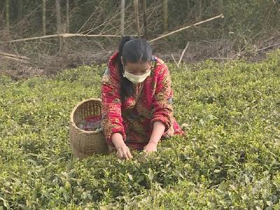 【实时动态】小湖岭村：做好疫情防控期间脱贫攻坚工作 严防“因疫返贫”