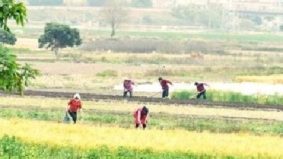 【实时动态】“及时雨” 助力农户春耕