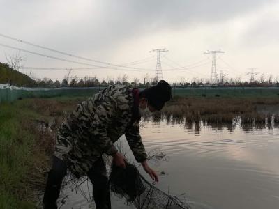 【一线写实】柳山湖镇防疫备耕两不误