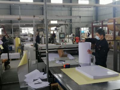【一线写实】防控不松劲 复工不迟缓