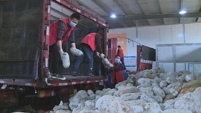【实时动态】爱心还在继续   云南再向赤壁市捐赠150吨蔬菜