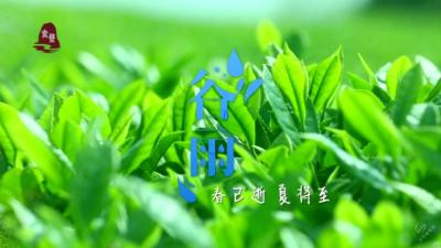 V视 | 今日谷雨！春已逝 夏将至