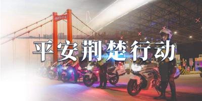 “平安荆楚行动” |赤壁警方快速破获系列盗窃案
