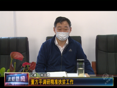 董方平调研精准扶贫工作