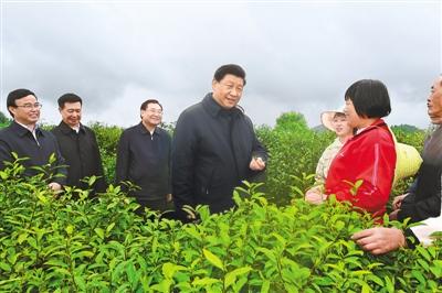 习近平：扎实做好“六稳”工作落实“六保”任务 奋力谱写陕西新时代追赶超越新篇章