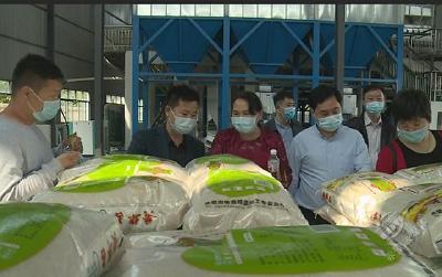市领导调研粮食全产业链发展工作