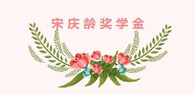 太棒啦！赤壁学生张杜勤入选宋庆龄奖学金候选名单
