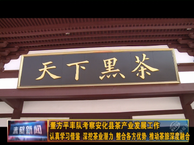 董方平率队考察安化县茶产业发展 认真学习借鉴 深挖茶业潜力 整合各方优势 推动茶旅深度融合发展