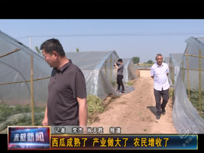西瓜成熟了 产业做大了 农民增收了