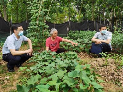 开对“药方子”  拔掉“穷根子”