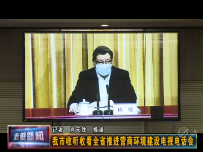 赤壁市收听收看全省推进营商环境建设电视电话会
