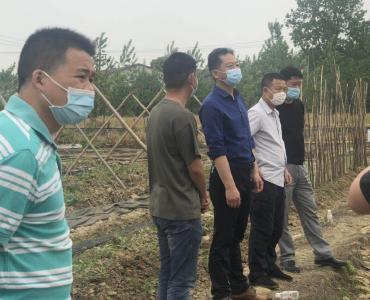 【就业创业】刘洪波局长走访调研新店镇退役军人复工复产