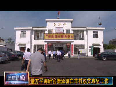 董方平调研官塘驿镇白羊村脱贫攻坚工作
