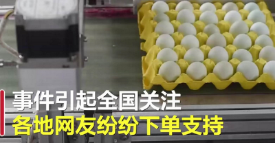 一个鸡蛋的信任｜武汉产鸡蛋被退货 全国网友：你不买我买！