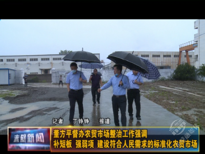 董方平督办农贸市场整治工作 补短板 强弱项 建设符合人民需求的标准化农贸市场 