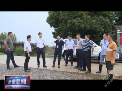 董方平巡查长江干堤防汛工作