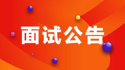 赤壁市金融投资集团有限责任公司2020年招硕引博面试公告