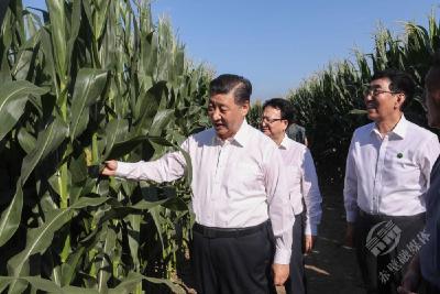 第一观察｜这件事为何成为总书记心中的“永恒课题”