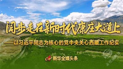 阔步走在新时代康庄大道上——以习近平同志为核心的党中央关心西藏工作纪实 