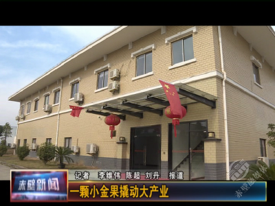 小金果撬动大产业