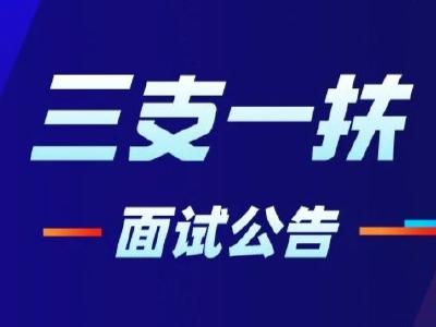 赤壁市2020年度招募选派“三支一扶”高校毕业生面试公告