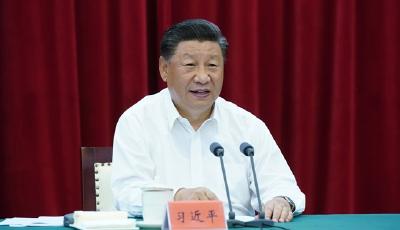 习近平：紧扣一体化和高质量抓好重点工作 推动长三角一体化发展不断取得成效