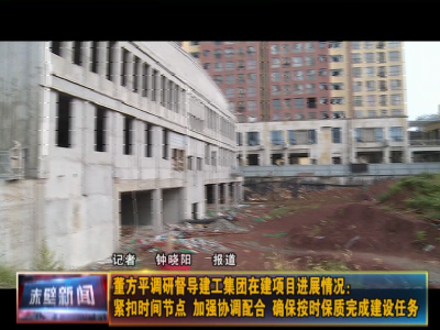 董方平调研督导建工集团在建项目进展情况：紧扣时间节点 加强协调配合 确保按时保质完成建设任务