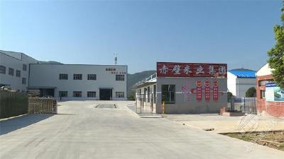 以市场调剂激发种粮热情 以高端加工促进提质增效——全国种粮大户祝移婆的粮食情结